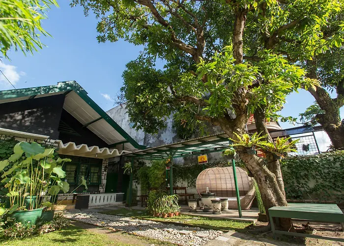 Mango Tree Dipudjo