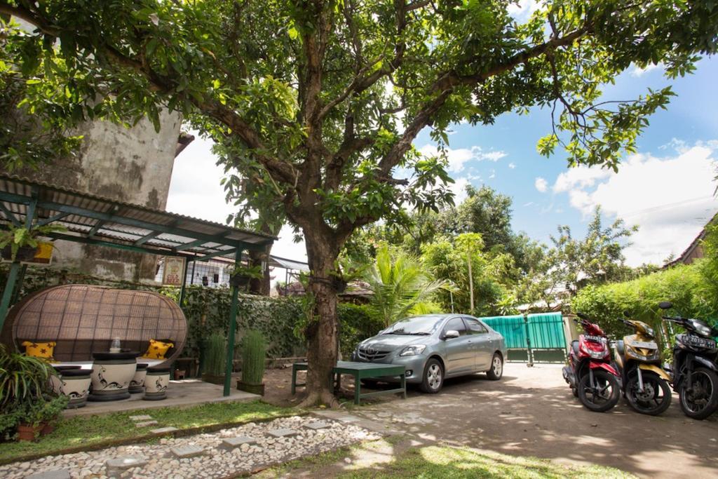 Mango Tree Dipudjo Yogyakarta