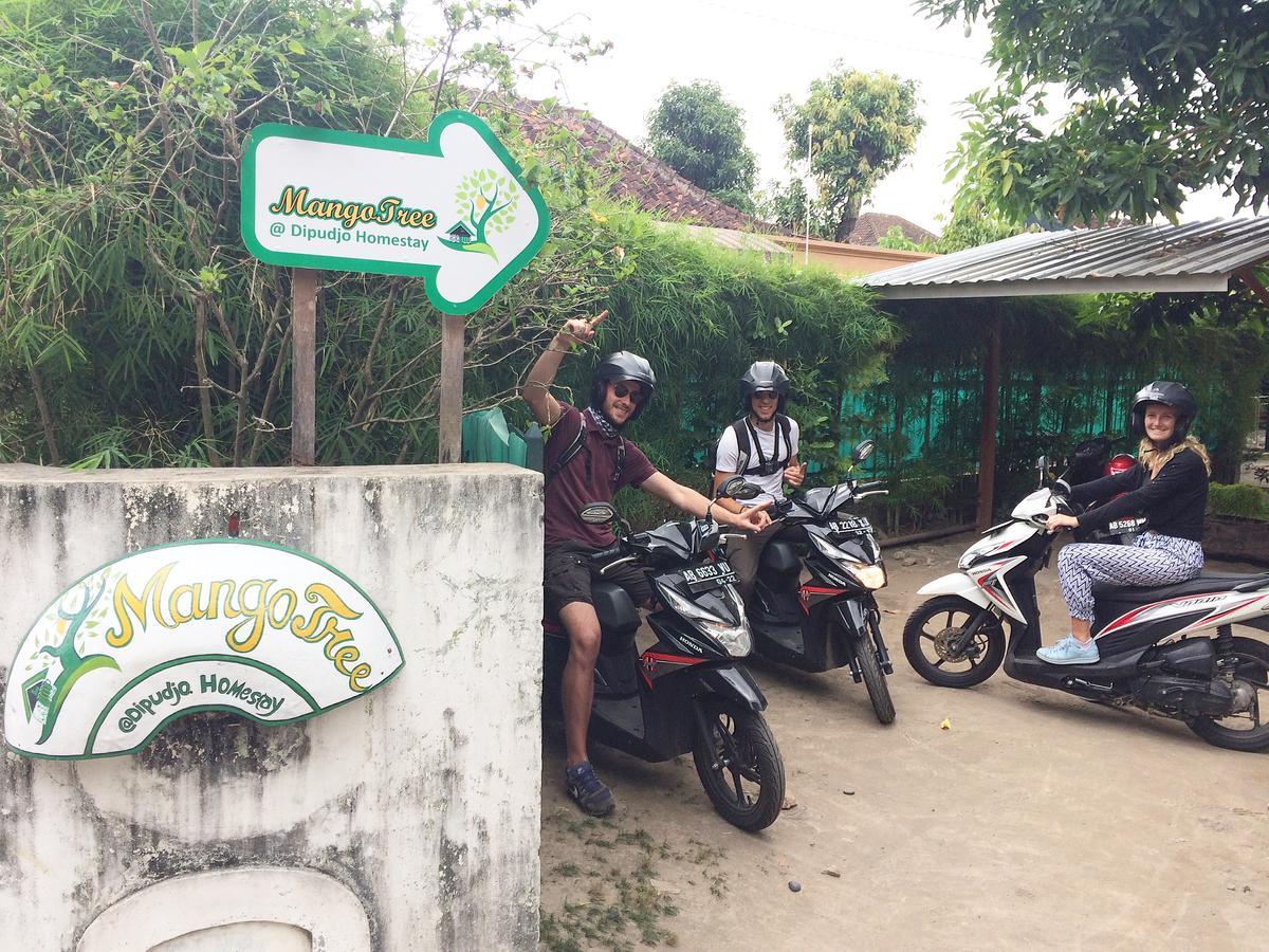 Mango Tree Dipudjo Guest house