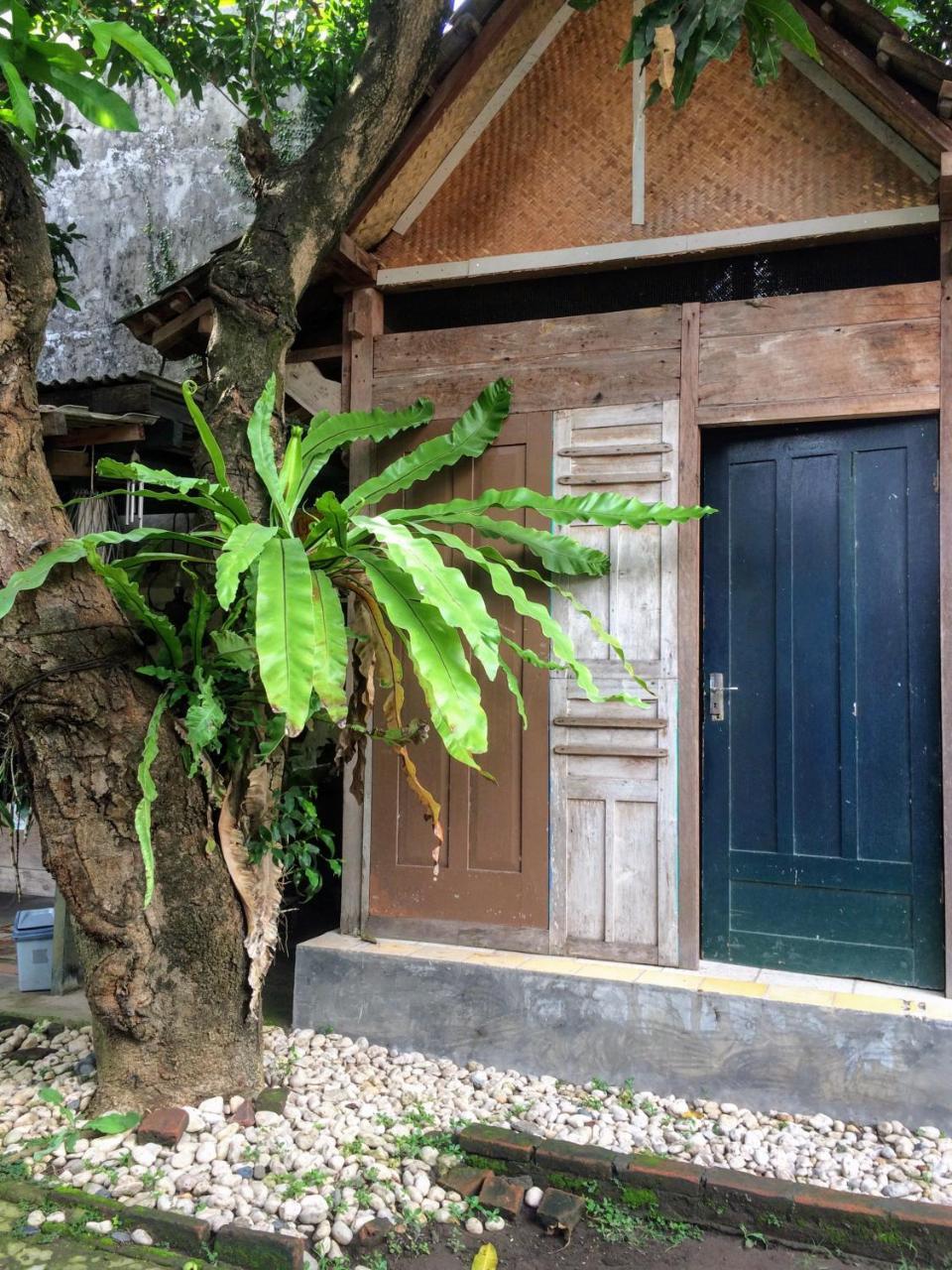 Mango Tree Dipudjo Guest house Yogyakarta