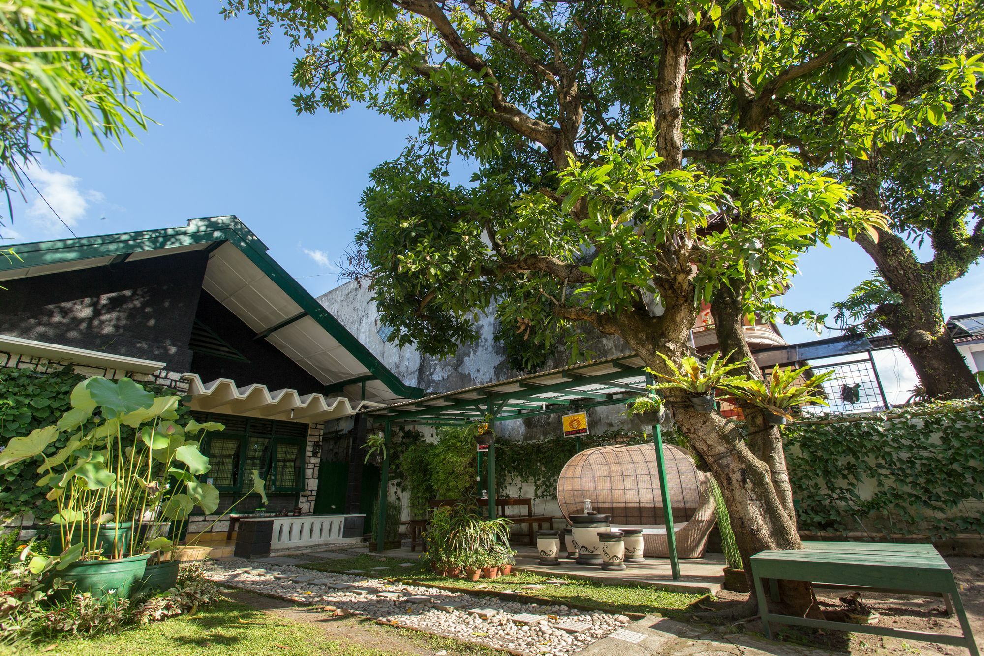 Mango Tree Dipudjo Guest house