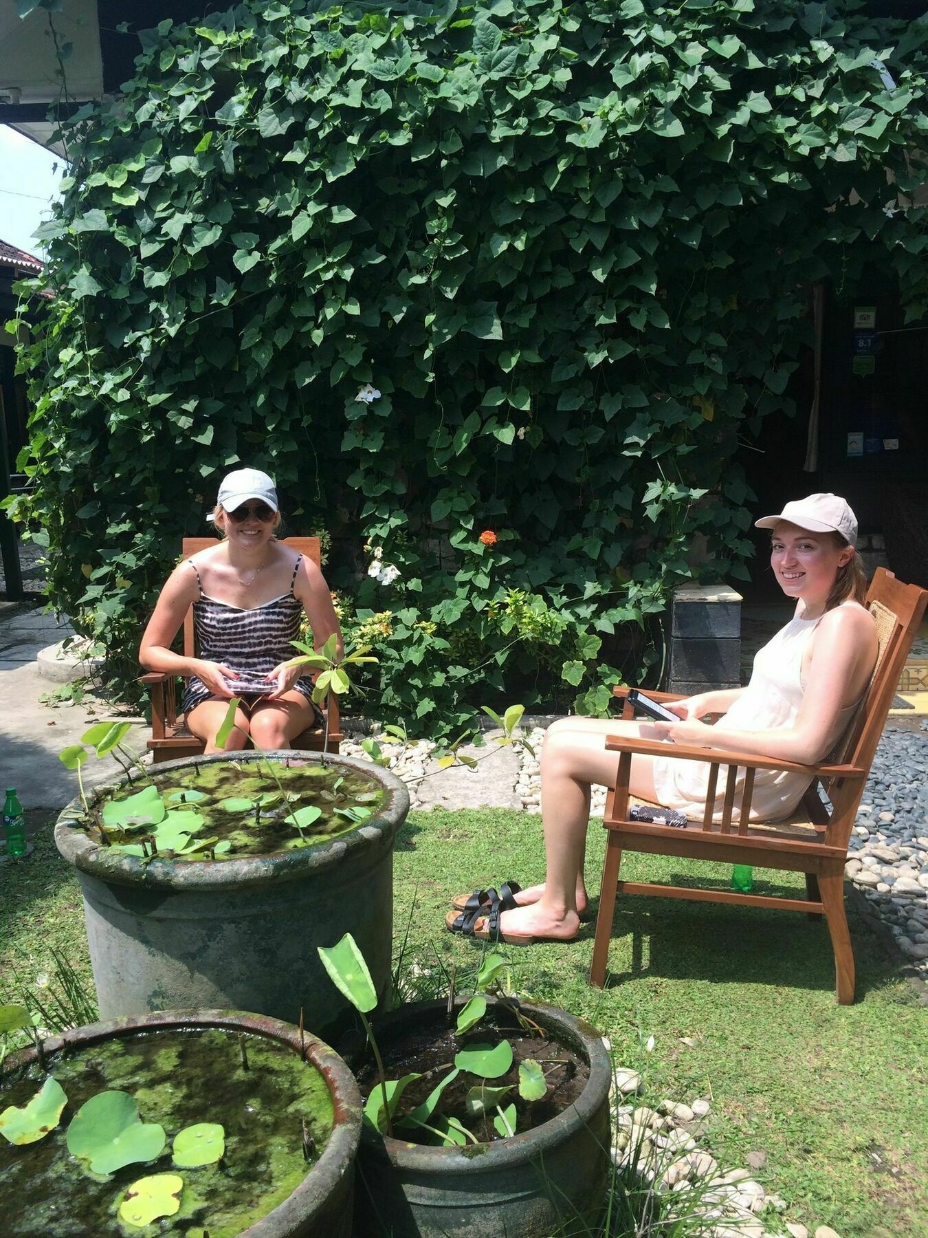 Mango Tree Dipudjo Guest house