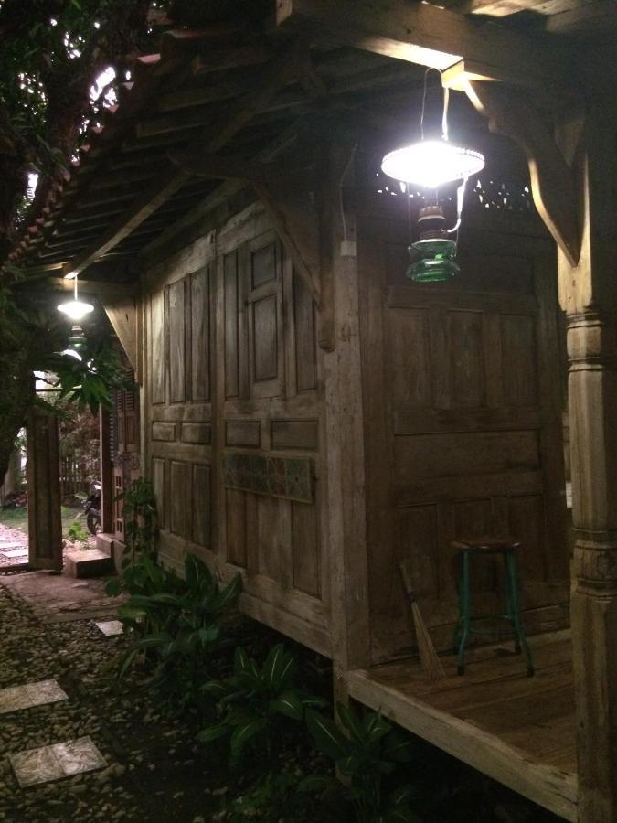 Mango Tree Dipudjo Guest house