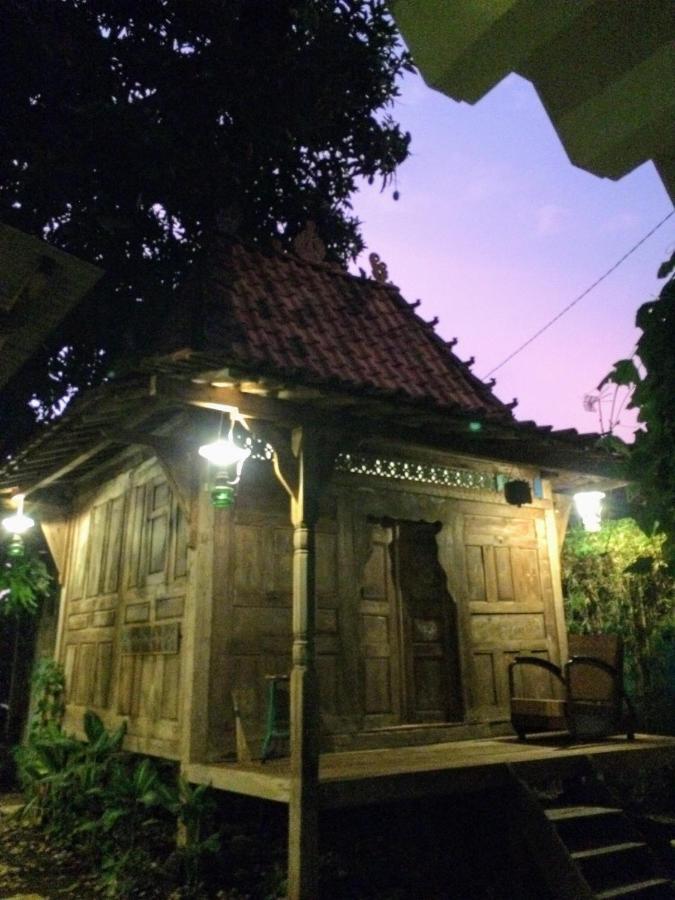Guest house Mango Tree Dipudjo 2*